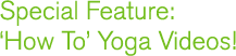 Special Feature:  how to yoga videos!